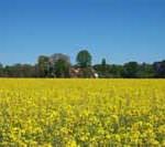 Nasce la prima Organizzazione di Produttori per l'agroenergia