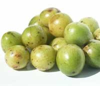 Umbù: i produttori al BioFach