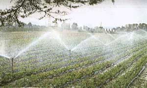 L'irrigazione, non è uno “spreco”, e può essere gestita in termini più efficaci