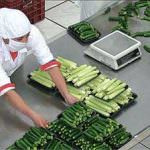 Il direttore di stabilimento nell'industria alimentare: funzioni e responsabilità