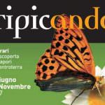 Ancona: Tipicando, itinerari alla scoperta dei sapori dell'entroterra