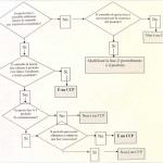 Sicurezza alimentare e piano HACCP