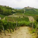 Economia: Istat Coldiretti, voucher importanti contro sommerso