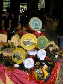 "Caseus Veneti": le medaglie e la gioia del formaggio asiago