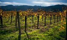 CIA: La montagna si tutela e si valorizza con un maggior sostegno all'impresa agricola e alla sua multifunzionalità