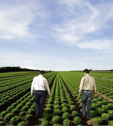Strategia Europa 2020: Italia e Francia puntano sull'agricoltura