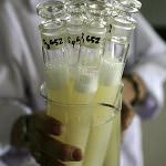 El Gobierno chino pide ayuda a los ciudadanos