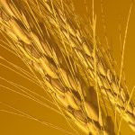 Perspectivas del mercado de trigo para 2008/09