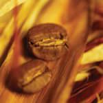 Il caffè Jamao a sostegno del progetto Torino 2006 - Pechino 2008