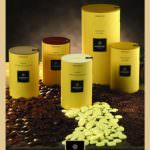 Alessio e Cecilia Tessieri presentano "Amedei For You"