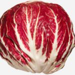 UE: Coldiretti, l'Europa protegge dai falsi il radicchio di Chioggia Igp