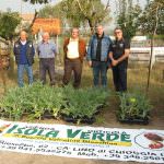 Il violetto di Chioggia reintrodotto a livello sperimentale nelle aziende agricole del territorio