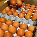 Hong Kong detecta melamina en huevos importados de China