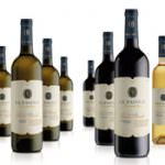 Nella zona DOC Annia nasce una raffinata cantina: Le favole