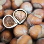 Turchia leader mondiale nell'espotazione di nocciole