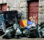 Energia pulita: dagli scarti organici si può ricavare energia rinnovabile sotto forma di biogas