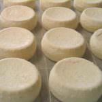 I formaggi dop del Piemonte