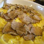 Il diamante del Piemonte : Il Tartufo Bianco di Alba