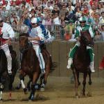 Il Palio in Piemonte: Asti e Fossano
