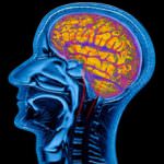 La domotica per migliorare la qualità della vita per i malati di Parkinson