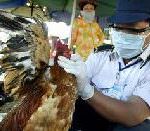 Record-level US support for bird flu programme