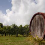 Confagricoltura a Lussemburgo per la manifestazione degli agricoltori europei