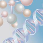 Italia e Canada istituiscono un fondo per le ricerche sul genoma umano