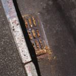 Puglia: liberalizzata la realizzazione degli allacci alla rete idrica e fognaria che AQP svolgeva in regime di monopolio