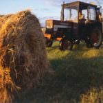 Servono interventi straordinari e tempestivi per impedire il tracollo dell'agricoltura
