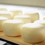 Formaggi: Zaia si adoperi a Bruxelles per reintrodurre gli aiuti