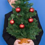 Gli italiani compreranno 6,5 milioni gli alberi di Natale veri