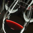 I vini del Piemonte, maestri delle Università USA