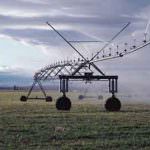 Agrofarma: la revisione direttiva 91/414 mette a rischio la produttività agricola