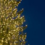 Attenzione agli addobbi natalizi luminosi: devono avere il marchio di sicurezza