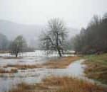 La pioggia battente e la neve alzano il livello dei fiumi. A Firenze l'Arno è salito di 2,65 metri in un giorno
