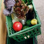 Inflazione, Cia: i prezzi alimentari non scendono