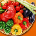 Bio italiano, missione in Russia