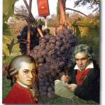 Mozart & Cignozzi a Montalcino...