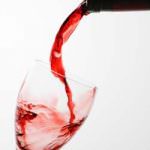 Newsfood.com su Google Web e Google News per Wine Show 2009 a Torino Lingotto dal 24 al 26 ottobre