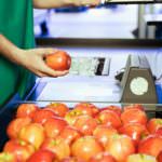 Prezzi, il maltempo non giustifica le speculazioni alimentari