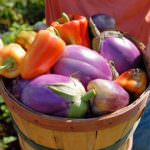 Sicurezza alimentare, i carabinieri Nas a "scuola" nell'orto