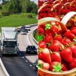 Il trasporto dei prodotti alimentari - Normativa