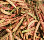 Piemonte, presentato il disciplinare per il Fagiolo Cuneo