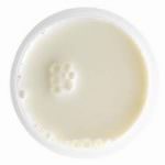 Commercio estero, il latte alla melamina fa crollare l'import dalla Cina