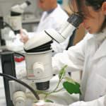 Gli scienziati comunicano più facilmente con i cittadini che con i mass media