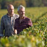 Nasce la prima «scuola» di potatura d'Italia