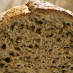 Cereali, la Cia lancia lo "Sos": semine a picco