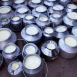 Quote latte: Marini (Coldiretti), non scherziamo con il fuoco