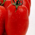 Frodi alimentari, sequestrati 13 mila barattoli di pomodori falsamente etichettati ''S. Marzano''