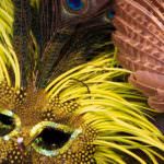 Prezzi, Cia: arriva il "caro-Carnevale"